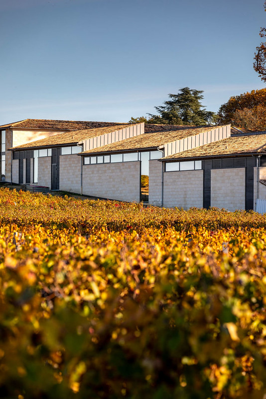 Weinreben & Chateau Figac